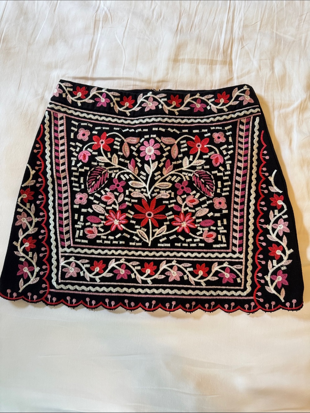 Francesca's Collections Black Mini Skirt with Pink & Red Floral Embroidery